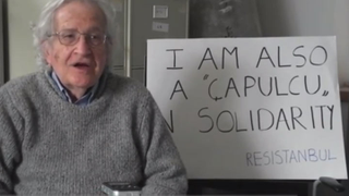 Illustration for article titled Noah Chomsky is a çapulcu